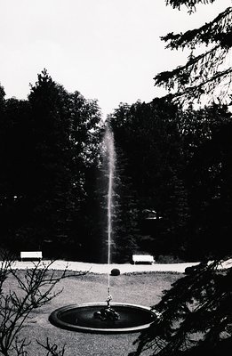 A dramatic, high-contrast black and white photo showcasing a central fountain within a manicured garden. The fountain's water...