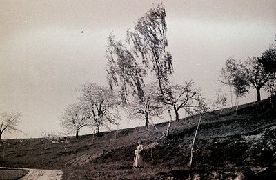 A lone figure stands on a grassy hillside beneath a dramatically windswept tree. The landscape features scattered trees and a...