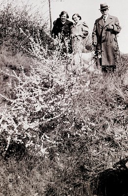 A formally dressed man and two women stand amidst blooming shrubs on a hillside. The man wears a hat and carries a walking st...