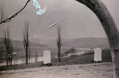 Monochrome image depicting a landscape with two stark, rectangular monuments on a grassy slope. A line of trees stretches acr...