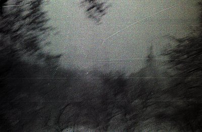 A heavily distressed, grayscale image showcasing textures and tonal variations suggestive of organic material – possibly weat...