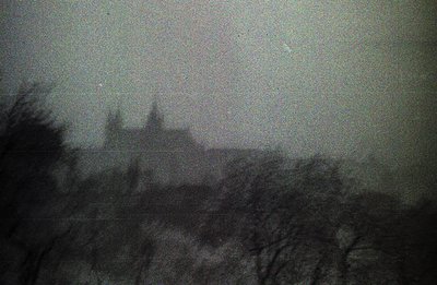 A grayscale image depicts a densely forested area, likely woodland, with a large, ornate building visible through the trees. ...