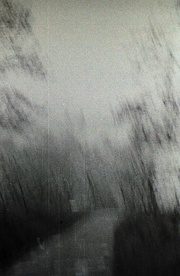 A blurred, monochromatic photograph depicts a dense, potentially coniferous forest. The texture suggests film grain and possi...