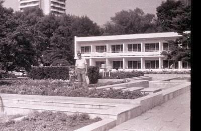 A man in trousers and a short-sleeved shirt stands near tiered landscaping featuring low shrubs and stone edging. Modernist a...