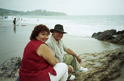 A couple sits on rocky coastline overlooking a sandy beach. The woman wears a red tank top; the man a fedora and white pants....