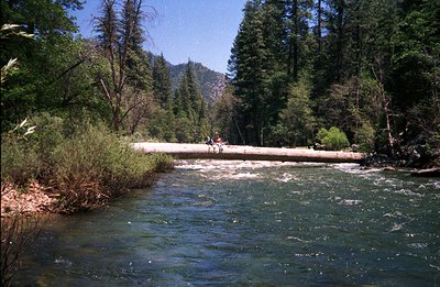 A log serves as a makeshift bridge over a swift, shallow river. Pine trees frame the scene with a backdrop of mountains. Two ...