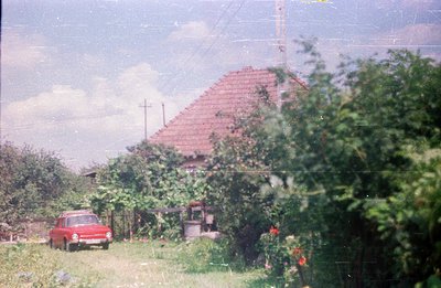 A red Lada car sits on a rural road with a traditional, terracotta-roofed house partially obscured by dense foliage. Likely E...
