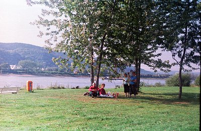 Family picnic scene: three people seated on a blanket beneath trees overlook a wide river with a bridge visible in the distan...