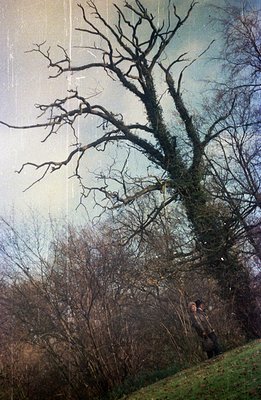 A man stands on a grassy bank beneath a large, gnarled tree with bare branches. The photo exhibits signs of age/damage with v...