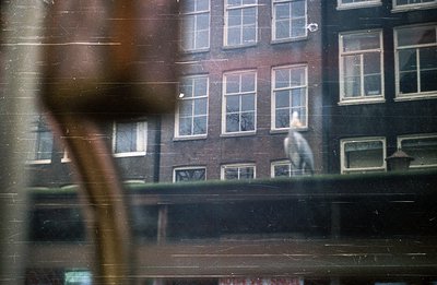Framed view through windows, a person stands in a brightly lit room with large, multi-paned windows within a red brick buildi...