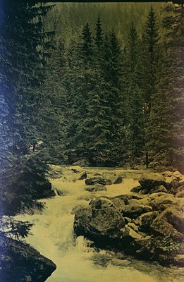 Rushing stream cascades over large rocks in a dense evergreen forest. Image exhibits a faded, yellowish hue characteristic of...