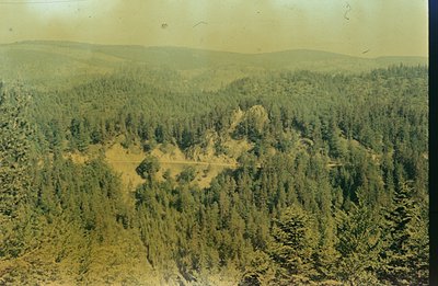 Elevated, wide view of dense evergreen forest covering rolling hills. A narrow dirt road carves through the lower portion of ...