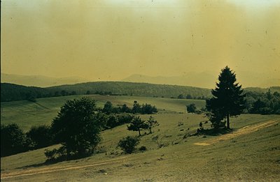 Sweeping panorama of rolling hills and forested mountains under a hazy sky. A dirt track leads toward the landscape. The imag...