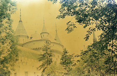 A view of a medieval castle with curved turrets and pointed roofs, framed by foliage. The color cast indicates age, likely a ...