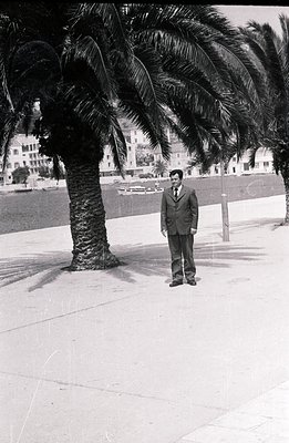 A formally dressed man stands near a palm tree on a seaside promenade, with buildings visible across the water. Likely a tour...