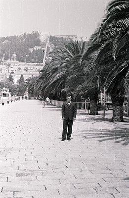 A formally dressed man stands on a patterned stone promenade lined with palm trees. A coastal cityscape rises in the distance...
