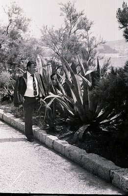 A formally dressed man stands beside a stone curb overlooking a coastal view. He wears a suit, tie, and appears relaxed, with...