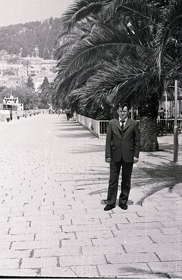 A man in a dark suit and tie stands on a patterned brick pathway, partially obscured by a large palm tree. A coastal town and...