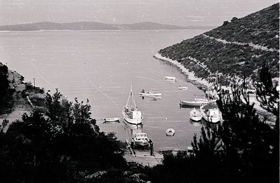 A hillside harbor scene, featuring a row of fishing boats and yachts moored in calm water. The hillside is densely covered in...
