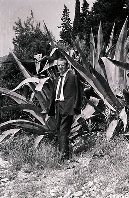 A man in a dark suit and tie stands amidst large agave plants. The composition features a shallow depth of field and a grainy...