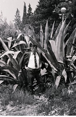 Man in a suit, tie, and dark trousers stands confidently amidst large agave plants. Cypress trees are visible in the backgrou...