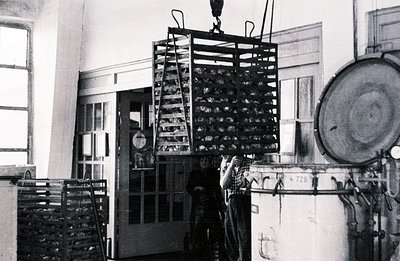 Industrial scene: a large wire basket suspended from a crane mechanism within a factory or processing plant. A boiler sits ad...