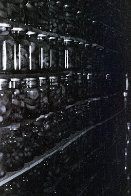 A dark, somewhat blurred photograph depicts rows of jars containing preserved specimens—likely fruits or vegetables—stacked o...