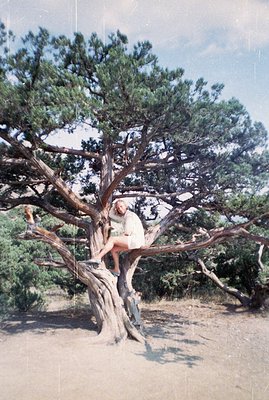 A young woman perched on a large, gnarled juniper tree, clad in a white dress and sandals. The tree displays a low-branching ...