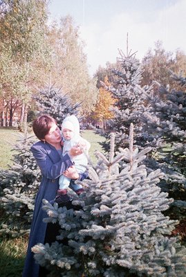 A woman in a long blue dress cradles a baby wrapped in a white blanket amidst a grove of blue spruce trees. Likely taken in t...