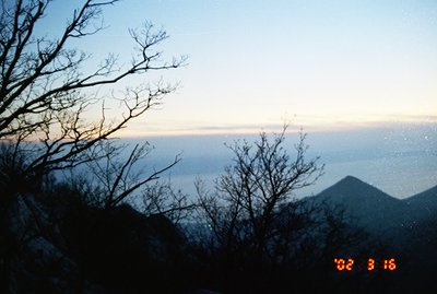 Dramatic, low-light landscape featuring a coastal view and bare trees silhouetted against a pale dawn sky. Distant mountains ...