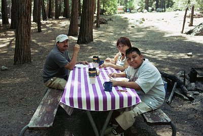 A family of three sits around a picnic table covered with a striped purple and white tablecloth, enjoying a meal outdoors. Th...