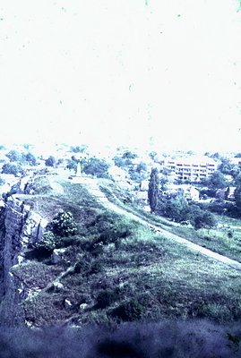 Overgrown, grassy slope descends to a road, overlooking a coastal town. Mid-century architecture, likely apartments, features...