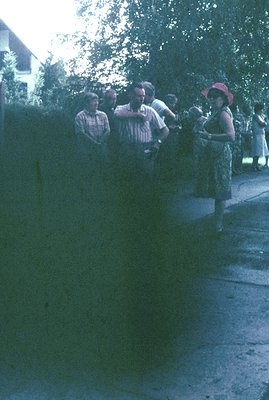 A group of people view something beyond a high hedge. A woman in a red hat and patterned dress stands prominently. The scene ...