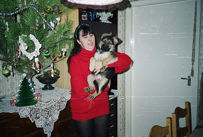 A young woman in a red turtleneck sweater and black leggings cradles a German Shepherd puppy. A decorated Christmas tree stan...