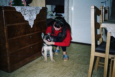 A woman in a red sweater kneels, playfully interacting with a German Shepherd puppy. The scene features a dark wood dresser w...