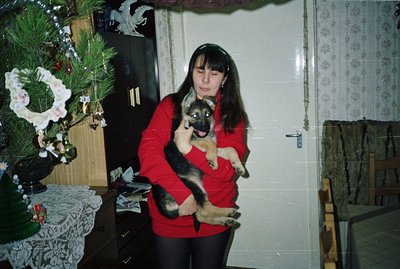 A young woman in a red sweater holds a German Shepherd puppy amidst a festive, likely Christmas, setting. Detailed lace table...