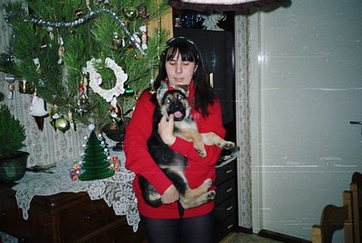 Young woman holding a puppy in front of a decorated Christmas tree. Interior scene with visible furnishings & lace tablecloth...