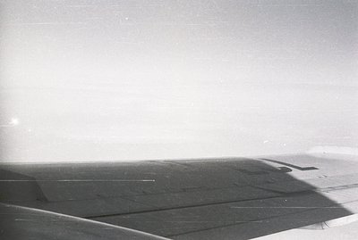 High-angle, monochrome photograph shows a wing of an aircraft extending horizontally across the frame. Details of wing constr...