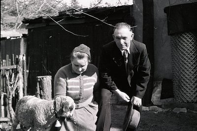 A seated couple, likely rural residents, observe a sheep with a bell. The man wears a suit & tie; the woman, a knitted cardig...