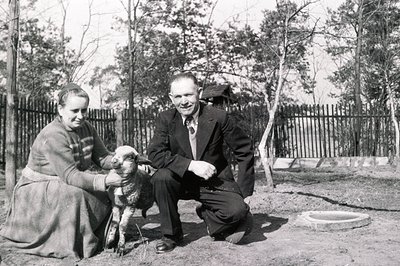 A couple, woman in a skirt and sweater, man in a suit and tie, pose with a young lamb. The scene appears to be a rural backya...