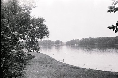 Monochrome, wide view shows a tranquil river landscape with a grassy bank in the foreground. Dense trees line the opposite sh...