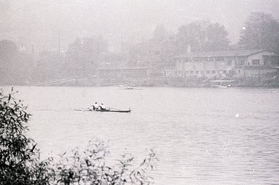 A solitary rower navigates a misty lake, viewed through foreground foliage. A row of lakeside buildings, likely a resort or h...