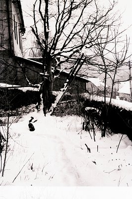 Monochrome image depicts a snow-covered landscape featuring bare trees and a partially visible building. A lone figure bundle...