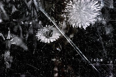 Close-up view of a damaged screen with a floral pattern appearing through the cracks. The screen is heavily scratched and app...