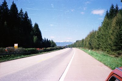 A straight, paved road stretches ahead, flanked by dense evergreen forests on both sides. Distant, snow-capped mountains are ...