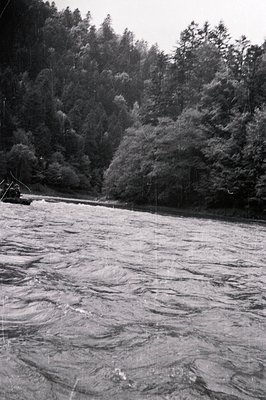 Rushing river fills the frame, framed by dense, tall evergreen forest. A small raft with two figures is visible mid-river, su...