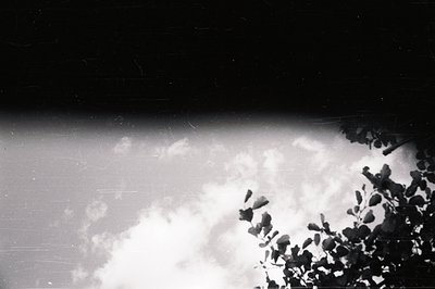Striking black and white photograph featuring a partially obscured view of bright, billowing clouds. Foliage frames the right...
