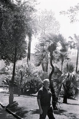A man in a short-sleeved shirt and dark trousers strides across a lawn bordered by tall palm trees. Classic mid-century archi...