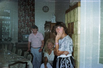 Interior scene featuring three people in a formal dining room. A man in a short-sleeved shirt stands near a television. A wom...