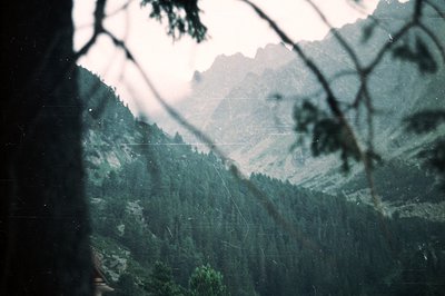 Dense evergreen forest fills the foreground, framing a vast mountain vista. Visible damage to film stock indicates age & poss...